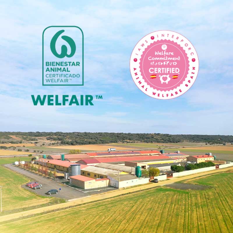 El Chano Pork Certificaciones Bienestar animal